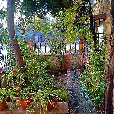 Casa Rural Zarco Miralles Melegis Exteriér fotografie